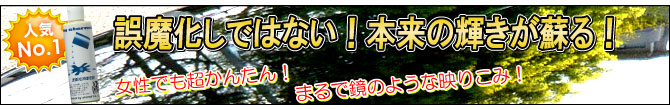 �ޥ��������ʥ롡���̸��������ޡ��������ʥ�����