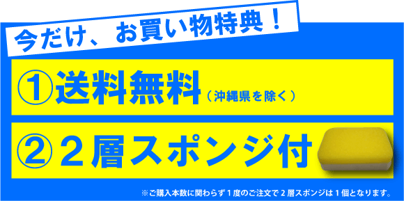 マイエターナル　塗面光沢復元剤　プロテクトコンディショナー