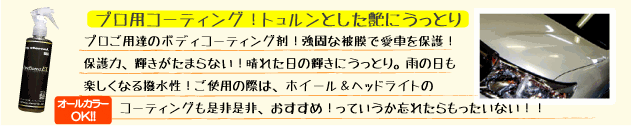 マイエターナル　プロファインプロテクト