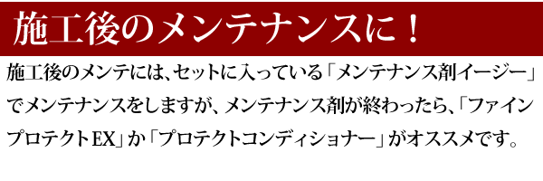 マイエターナルプロ　我魂　ガラスコーティング剤　GAKON　がこん