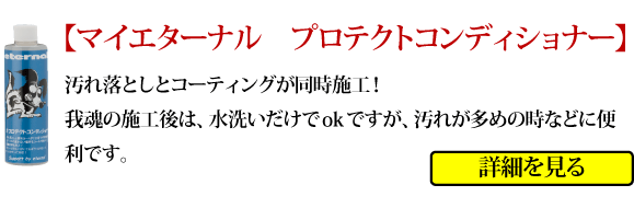 マイエターナルプロ　我魂　ガラスコーティング剤　GAKON　がこん　プロテクトコンディショナー