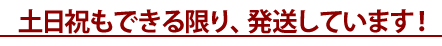 土日祝日もできる限り発送しています