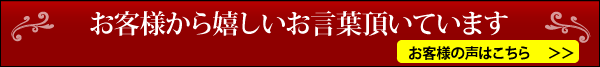 マイエターナル塗面光沢復元剤　色々な素材につかる　傷消し　eternal