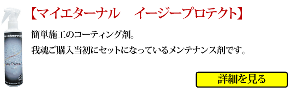 マイエターナルプロ　我魂　ガラスコーティング剤　GAKON　がこん　イージープロテクト