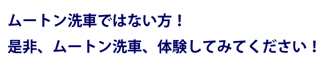 マイエターナル　ムートンモップ