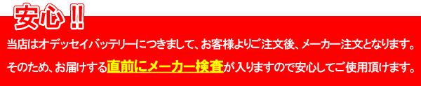 オデッセイ　ODYSSEY　ドライバッテリー　エターナル通販