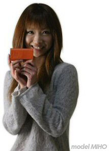 ライシリーズ　トートバッグ　スポーツバッグ　エターナル